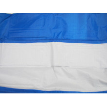 Africa Blue PE Tarpaulin/PE Tarp/Poly Tarp for Truck Cover, Tents